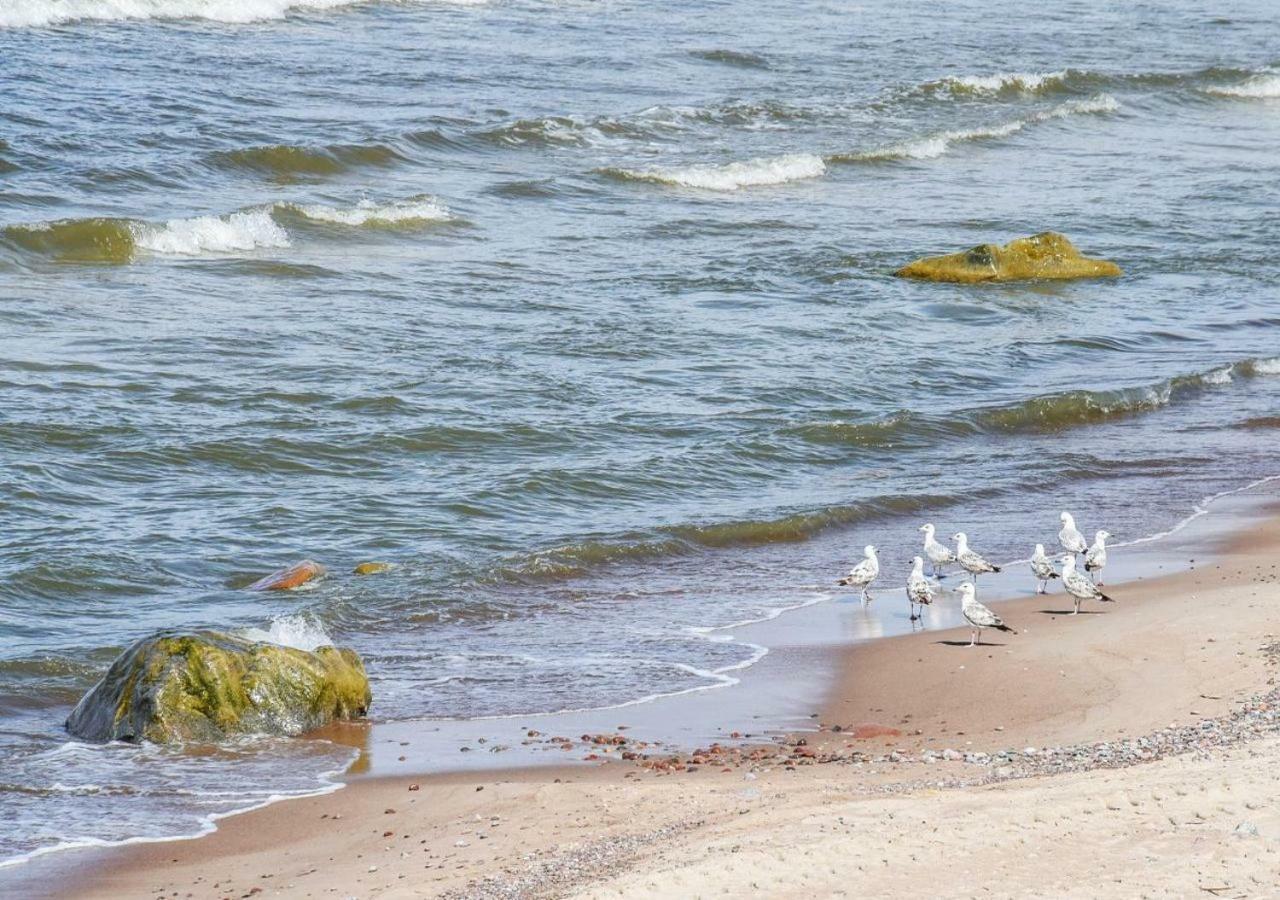 Seasidevilla Karklė エクステリア 写真